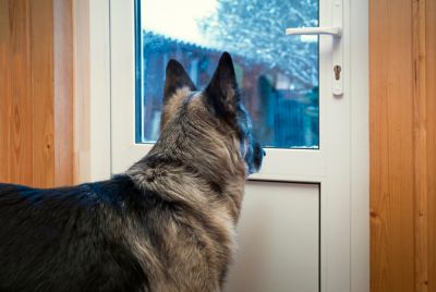 Get Professional Installation To Ensure Great Results!